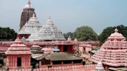 Puri Jagannath Temple: पुरी के जगन्नाथ मंदिर में चूहों का आतंक, पुजारी ने कहा-प्रसाद भी खा जाते हैं