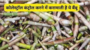 bamboo shoots weight loss, Health benefits of bamboo shoots,