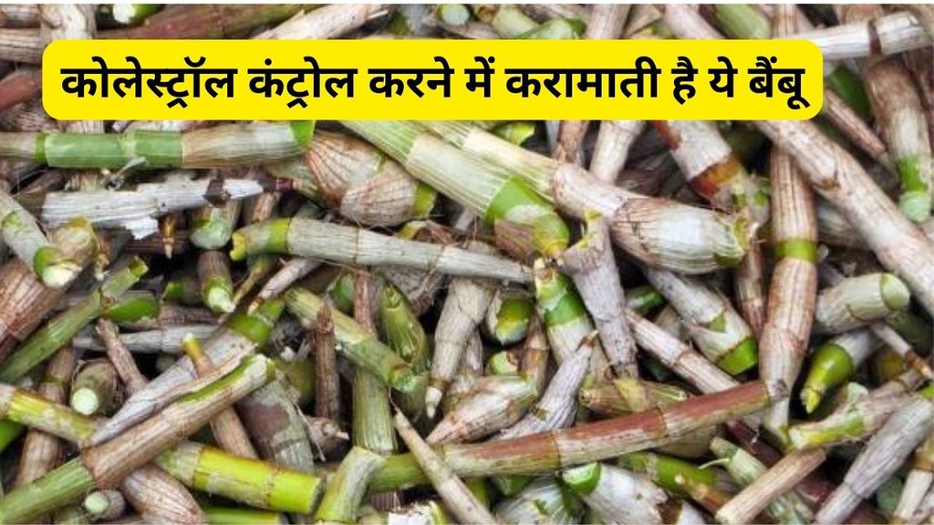 bamboo shoots weight loss, Health benefits of bamboo shoots,