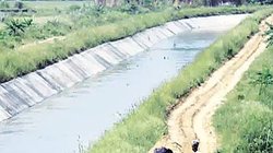 राजस्थान: पति-पत्नी ने पांच बच्चों के साथ नहर में कूदकर दी जान, मरने से पहले सभी ने आपस में पैरों को बांध लिया था