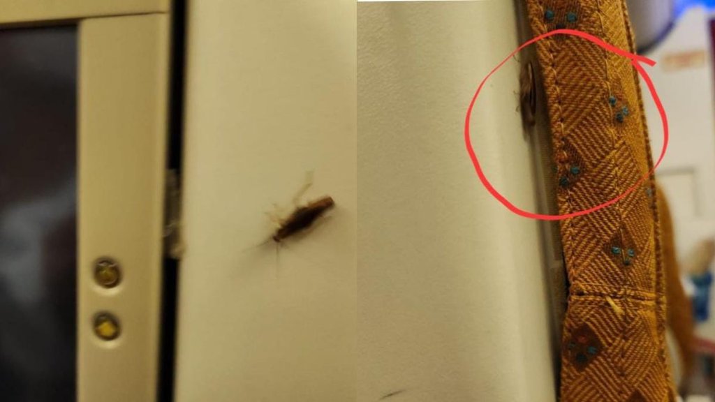 Air India flight| cockroach|
