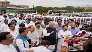 Rahuk Gandhi | congress