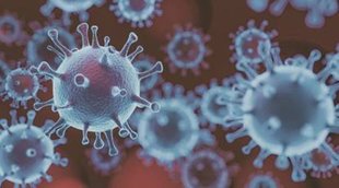 covid 19| India| infection| delhi
