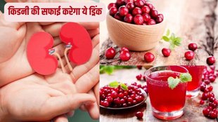 how to remove toxin at kidney,what is the fastest way to flush your kidneys,how to flush your kidneys,