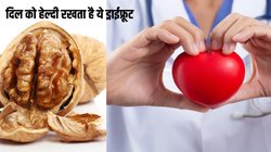 कोलेस्ट्रॉल का बैंड बजाने वाले ओमेगा 3 फैटी एसिड वाला यह ड्राईफ्रूट क्यों है इतना ताकतवर, दिमाग को भी बना देता है शार्प