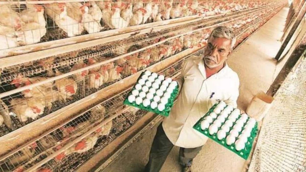 eggs| srilanka| india