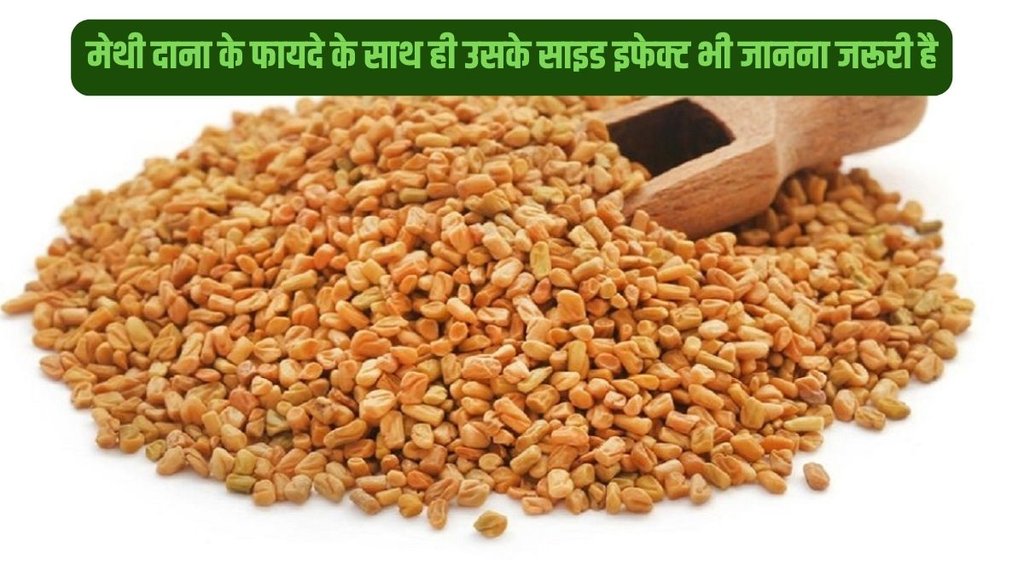 ow to have fenugreek Seed in safe amounts for blood sugar,Limited consumption of fenugreek seeds
