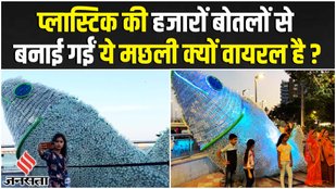 Fish Sculpture