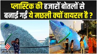 रीसाइक्लिंग के बारे में जागरूकता पैदा करने के लिए लगाया गया प्लास्टिक फिश स्कल्पचर!