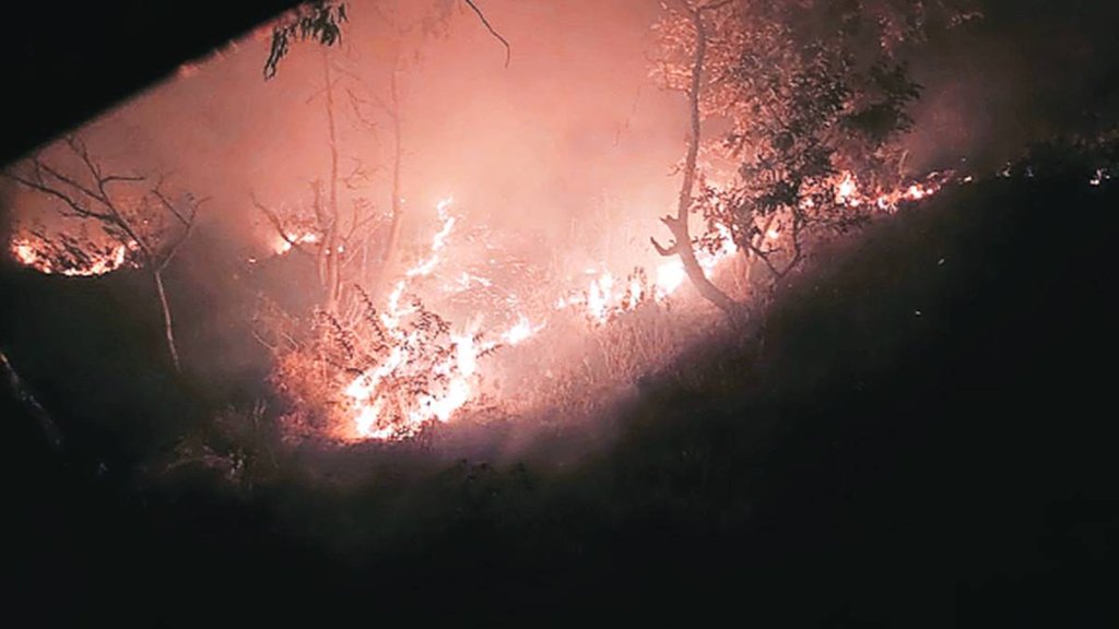 fire