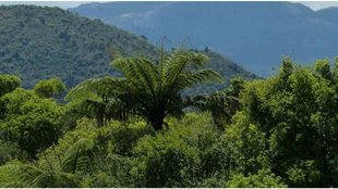 forest area| jammu kashmir|