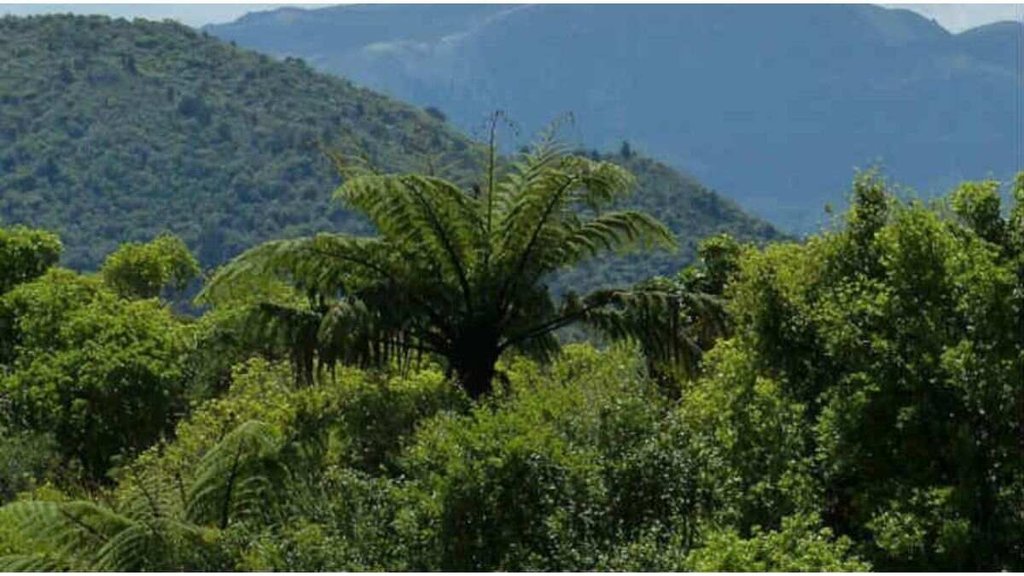 forest area| jammu kashmir|