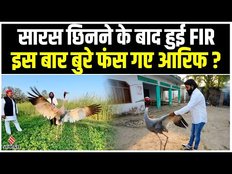 Amethi के Arif का दोस्त सारस Kanpur Zoo पहुंचा, डॉक्टर बोले- काफी परेशान है