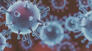 influenza virus| health ministry|