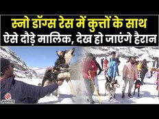 Kullu में Snow Dog की Race, इस दौड़ में 15 से ज्यादा नस्ल के Dogs ने लिया भाग