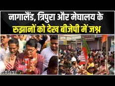 Election Result 2023: मेघालय,त्रिपुरा और नागालैंड के रुझानों को देख बीजेपी जश्न