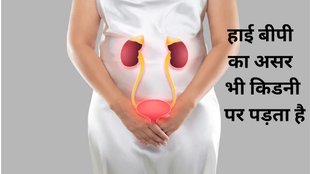 indianexpress, health and wellness,kidney care, causes of kidney problems,