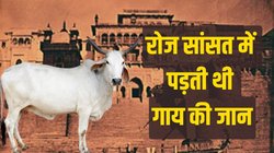 क्रेन से दूसरी मंजिल पर भिजवानी पड़ती थी गाय, बनारस के महाराजा की मेजबानी में नवाब रामपुर के छूट गए थे पसीने