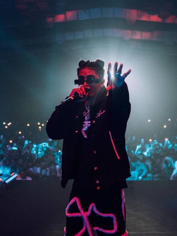 एमसी स्टेन