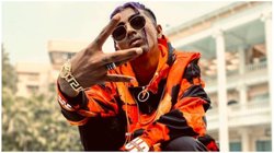 बिग बॉस 16 जीतने के बाद Khatron Ke Khiladi करेंगे MC Stan, अर्चना गौतम से वहां भी हो सकती है टकरार