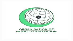 oic kashmir