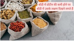 Protein Deficiency: बॉडी में प्रोटीन की कमी पर दिखते हैं ये 5 खतरनाक संकेत, न करें नज़रअंदाज वरना घातक रोग के हो जाएंगे शिकार