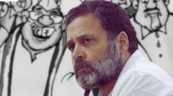 महात्मा गांधी राष्ट्रपिता, राहुल गांधी राष्ट्रपुत्र हैं- कांग्रेस नेता का वीडियो वायरल, लोग पूछ रहे ऐसे सवाल