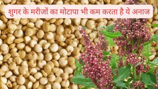 Whole Grain Quinoa, Healthy Diet, Diet Plan, Quinoa for Weight Loss,