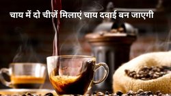 चाय में इन दो चीजों को मिला दें अमृत बन जाएगी आपकी चुस्की, छूमंतर हो जाएंगी ये 4 बीमारियां