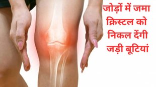 Uric Acid, uric acid control, Ayurvedic Treatment for uric acid,