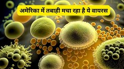 ये कौन सी बीमारी US में मचाने लगी है तबाही, क्या है इसके लक्षण, कैसे हमें इससे बचना होगा