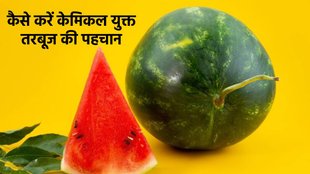 Chemically Ripen Watermelons, केमिकलयुक्त तरबूज