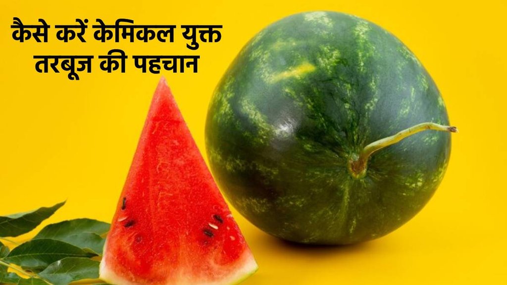Chemically Ripen Watermelons, केमिकलयुक्त तरबूज