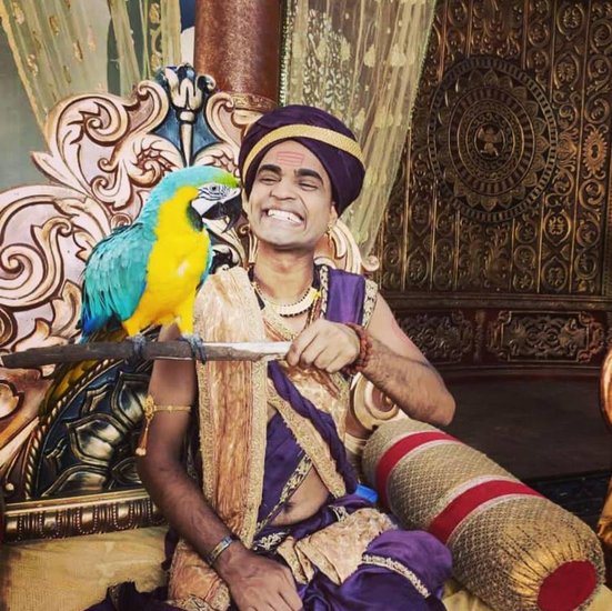 Animals of tv