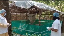 सारस से मिलने कानपुर पहुंचा आरिफ, देखते ही यूं प्यार लुटाने लगा बेजुबान, वायरल हो रहा वीडियो