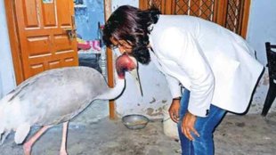 uttar pradesh| environment|
