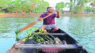 Boat | Ice| melting| | climate change