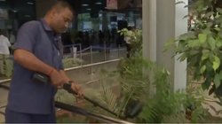 बिहार के पटना एयरपोर्ट पर विस्फोट की धमकी से मचा हड़कंप, जांच में जुटी दस्ता निरोधक टीम