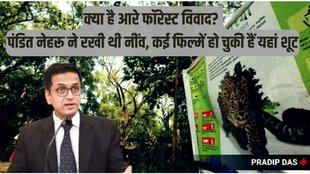 cji chandrachud, aarey forest, supreme court