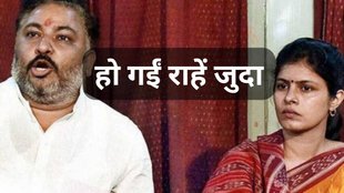 Dayashankar Singh and Swati Singh Divorce | yogi minister dayashankar singh | Swati Singh Divorce