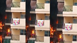 ग्रेटर नोएडा के गौर सिटी 14वें एवेन्यू में लगी भीषण आग, सोसायटी में भगदड़, मौके पर पहुंचीं फायर ब्रिगेड की गई गाड़ियां