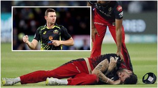 IPL 2023 | RCB | Reece Topley | Ruled Out | Josh Hazlewood | CSK vs RCB |