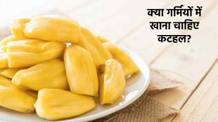 jackfruit benefits, jackfruit, jackfruit seed, jackfruit benefits,