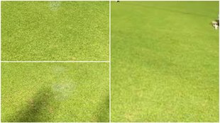 KKR vs SRH Pitch Report | Kolkata Weather Report | KKR vs SRH Pitch Report