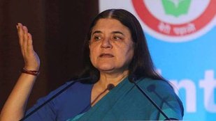 Maneka Gandhi| Maneka Gandhi Photo| Maneka Gandhi Viral Video|