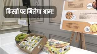 Mango Price, Mango Quality, Mango EMI