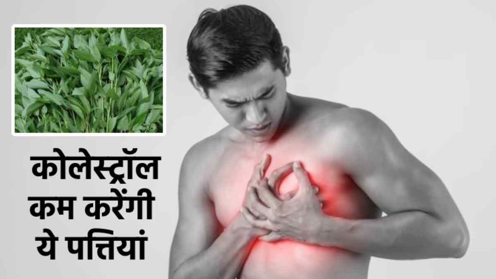 Cholesterol Diet, bad Cholesterol, LDL and HDL Cholesterol ,