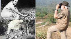 शेरदिल ही शेर से खेलते हैं, बाक़ी तो दूर से देखते हैं- तस्वीर शेयर कर TMC नेता ने किया ट्वीट, लोगों ने लिए मजे