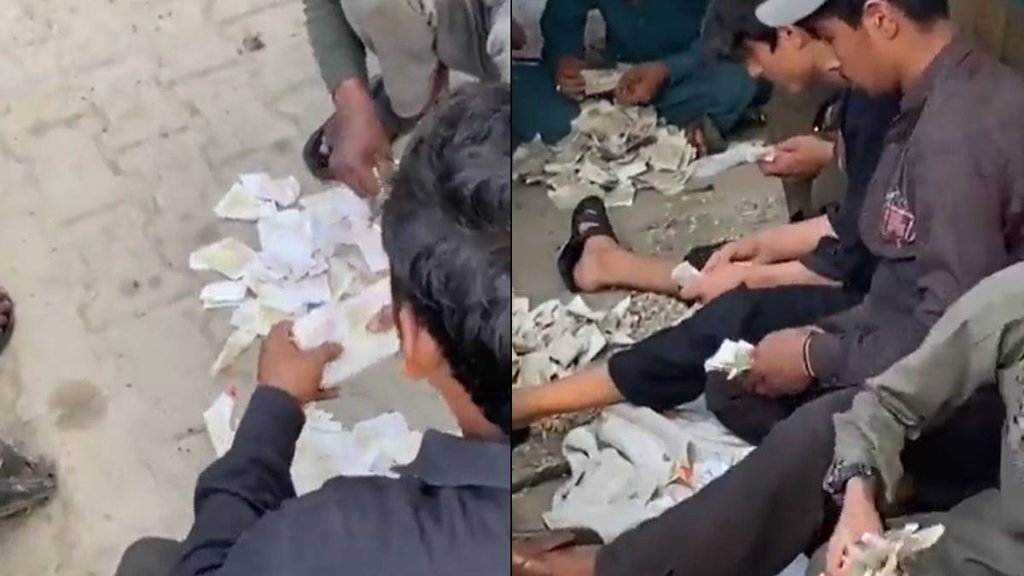 Pakistan Viral Video| Pakistan News| Pakistan Funny Video|