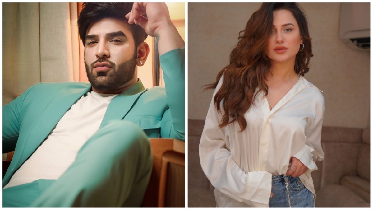 Paras Chhabra, Mahira sharma, Paras mahira breakup